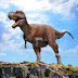 Jungali dinosaur official