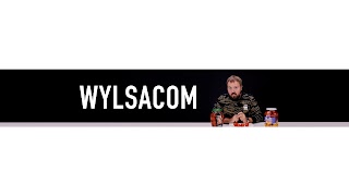 Заставка Ютуб-канала Wylsacom