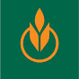 The Culinary Institute of America
