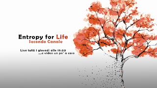 «Entropy for Life - Secondo Canale» youtube banner