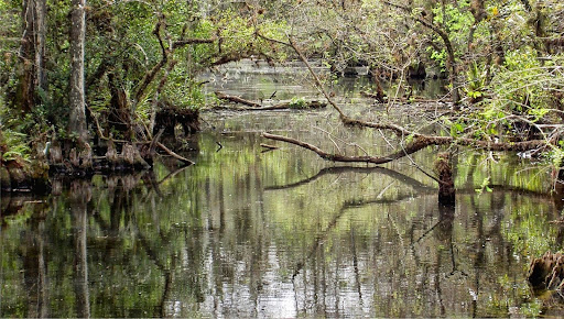 Kanal kapak resmi
