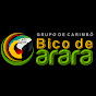 Grupo de Carimbó Bico de Arara