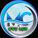 Mandi Computer Pvt Ltd