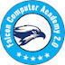 logo Falcon Computer Academy 2.0