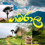 Gamarala (ගමරාල)