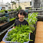 Chia sẻ kinh nghiệm aquaponics