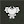 koalakontrol avatar