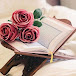 نور الهدى