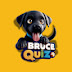 Bruce Quiz