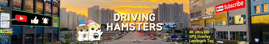 Driving Hamsters: GPS road trips