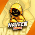 logo NAVEEN  FX