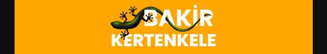 bakir kertenkele 31