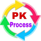 PK Process