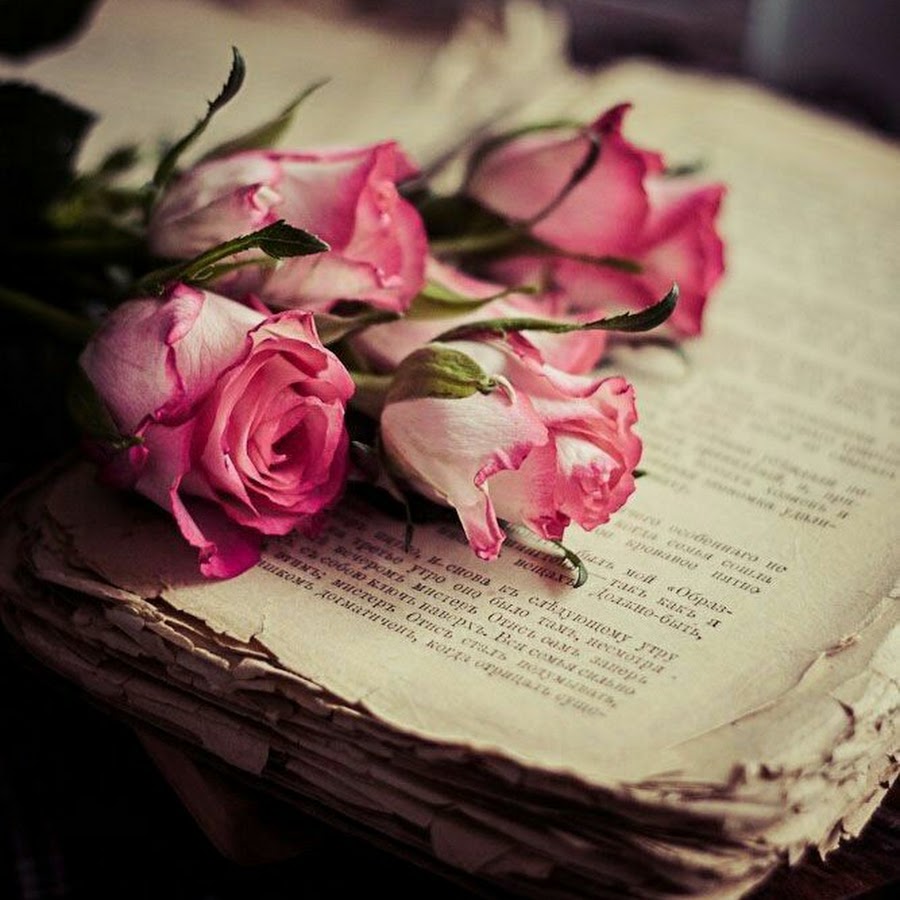Книга цветы