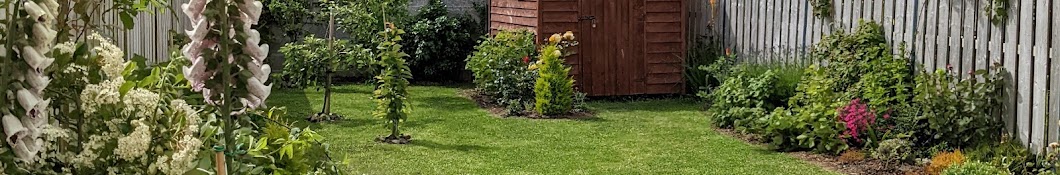 Backyard Gardening Dublin☘️