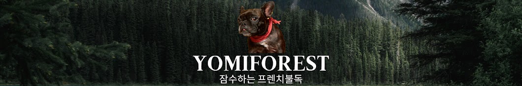 YOMIFOREST