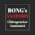 Bong's Anatomy