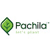 PACHILA