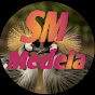 Sm media 345