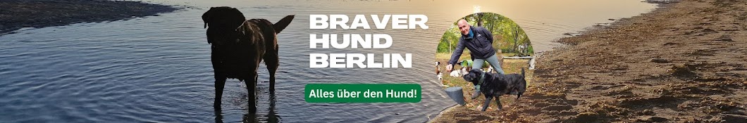 Braver Hund Berlin