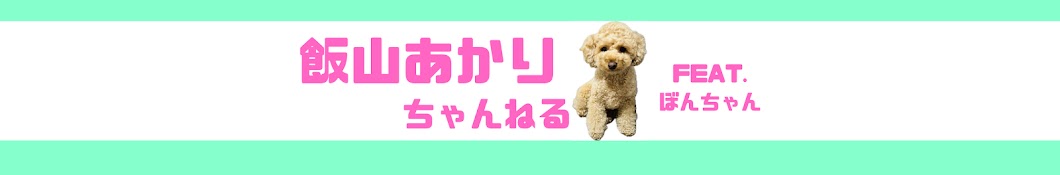 飯山あかりちゃんねる's Banner