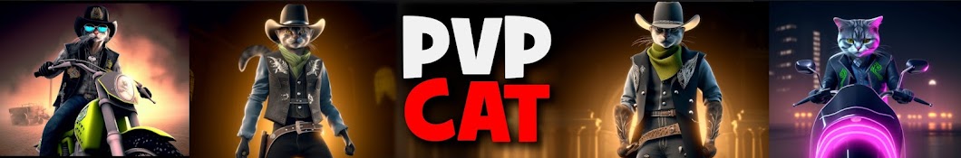 PVP Cat Banner