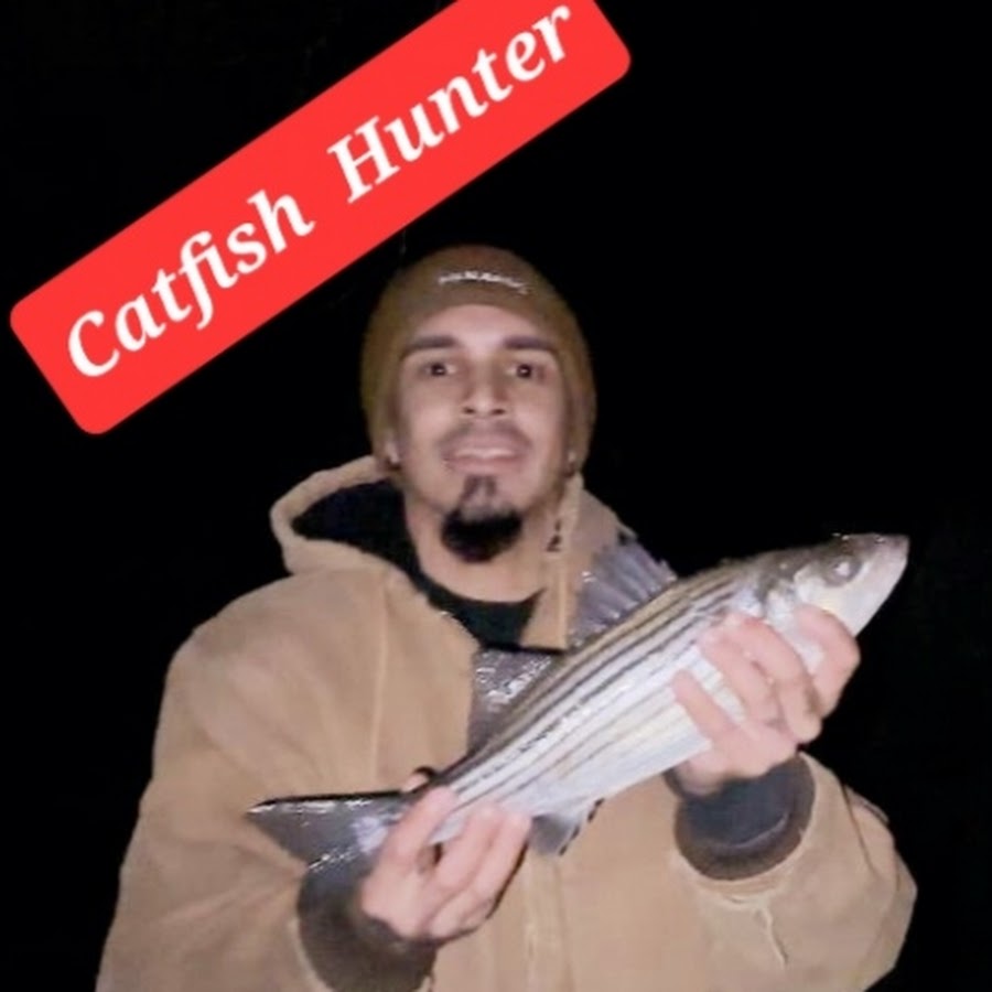 Catfish Hunter YouTube   G6v AQbDuxpWZIK80g7lNv1h76ak1y2xc3YHh8Lwfy9uk4XF3cU1 Gf1Zx6aqHbDp 1ih0GO9Q=s900 C K C0x00ffffff No Rj