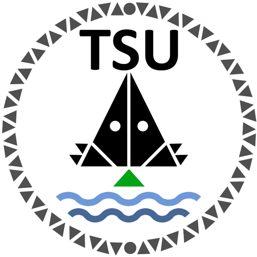 TSU臺灣太空科學聯盟 (Taiwan Space Union)