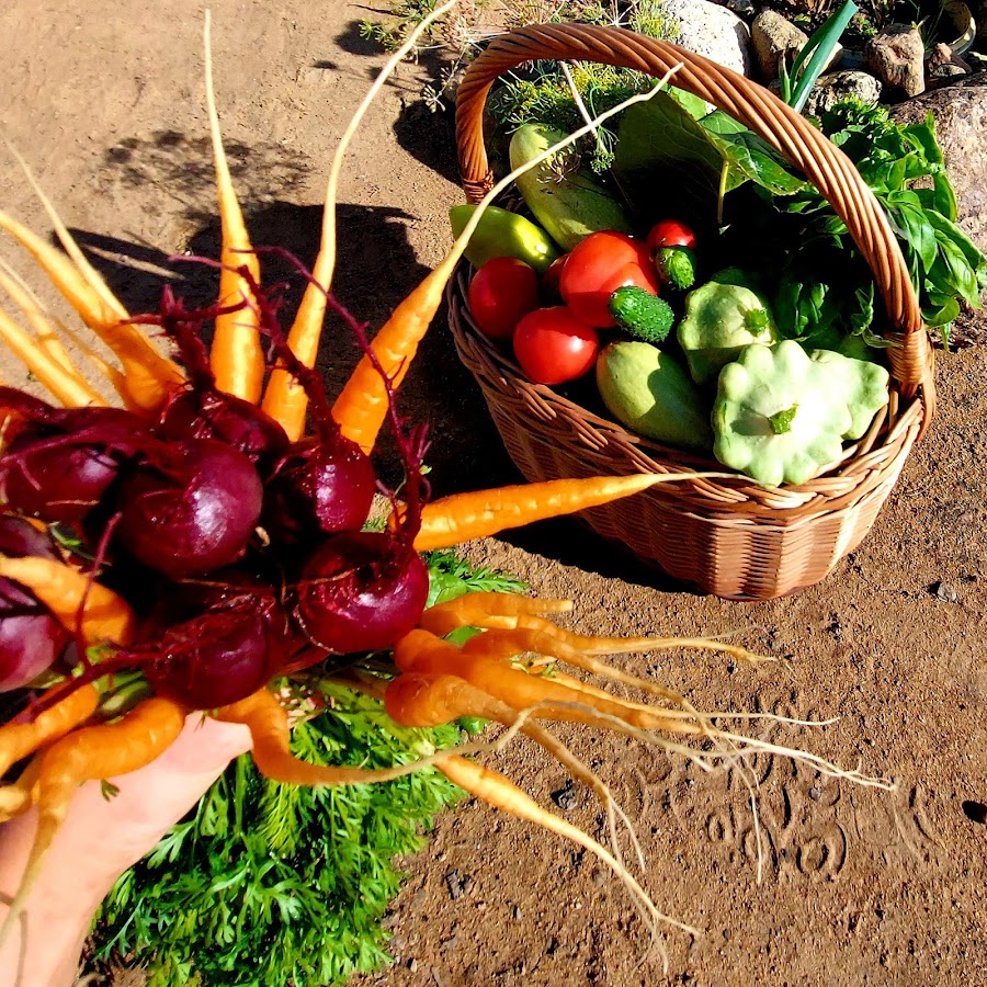 Simply food. Просто еда. Simple food.