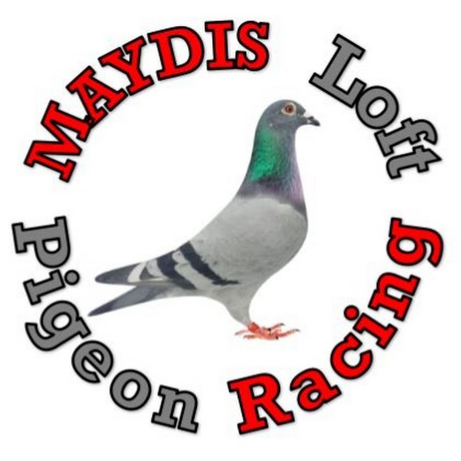 MAYDIS Loft Pigeon Racing