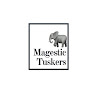 Majestic Tuskers