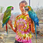 A Life With Macaws