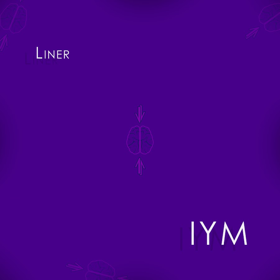 Lines lines album