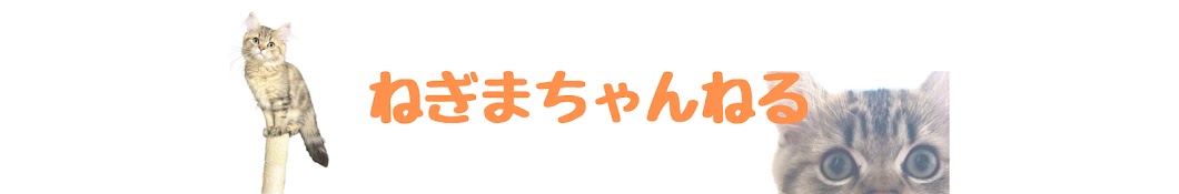 ねぎまのしっぽ。