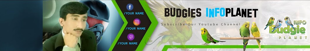 Budgies info Planet