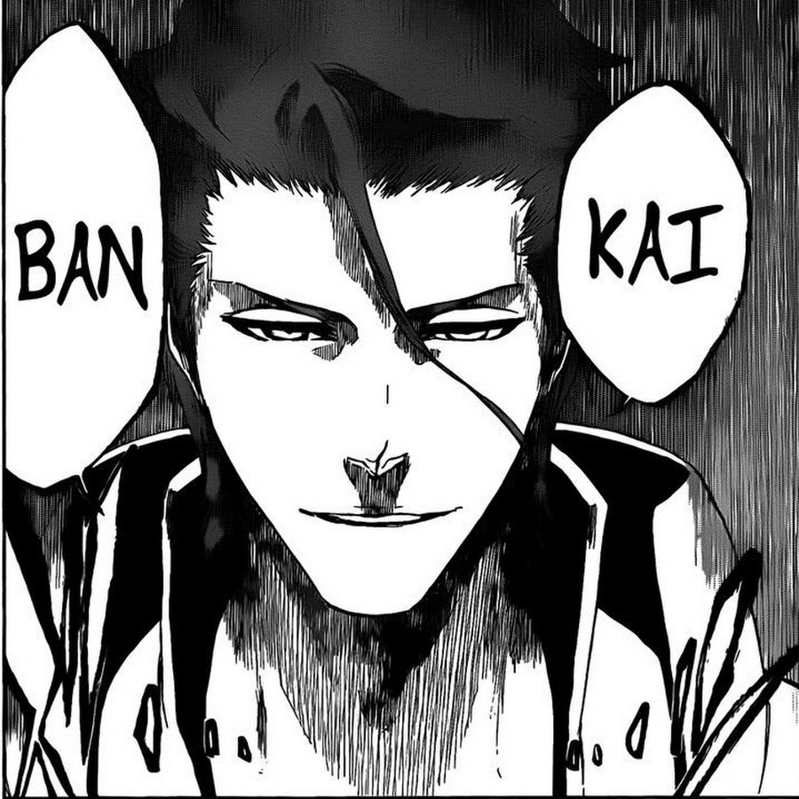 Aizen bankai. Айзен Блич. Айзен Мукен арт.