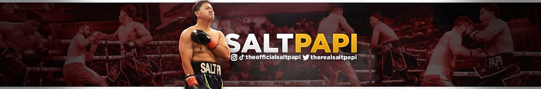 SALT PAPI Banner