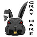 Gray Hare