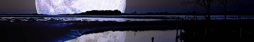 White Lotus Flower Under The Moonlight