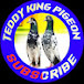 teddy king Pigeon