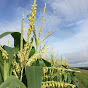 FLORIDA FARMING