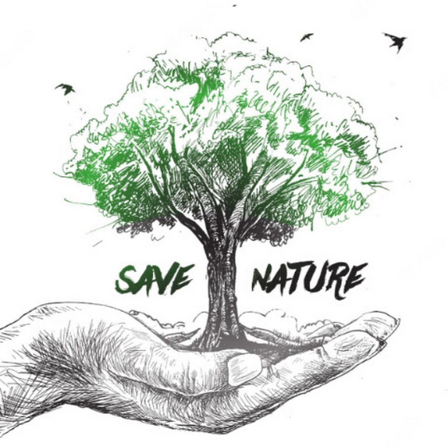 Save my nature перевод. Save nature. Рисунки природа и жизнь Евразии. Our nature. Save nature drawing.