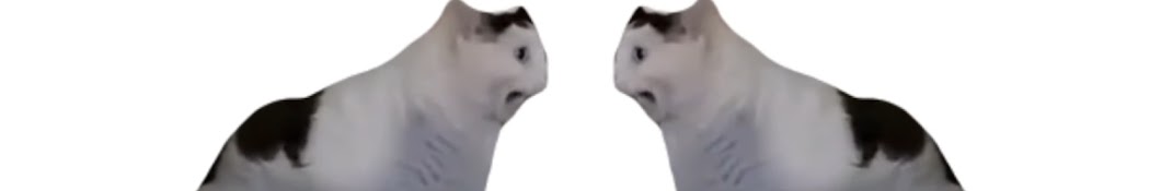 Mr Meowmers Banner