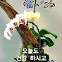 ask가요Tv방송