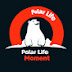 logo Polar Life Moments