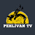 Pehlivan TV