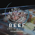 Reef Art and Design