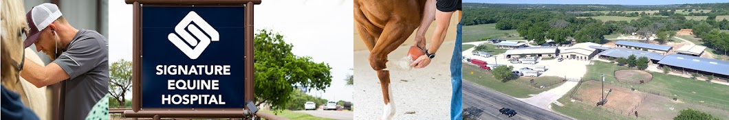 Signature Equine Hospital