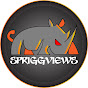 Spriggviews Tools