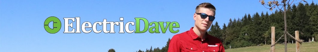 ElectricDave Banner